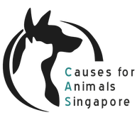 About Us - Causes for Animals (Singapore) - Dog Adoption, Stray Management,  Community Outreach in Singapore