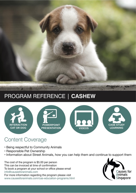 CAS Education Programs - Causes for Animals (Singapore) - Dog Adoption,  Stray Management, Community Outreach in Singapore